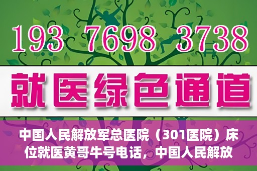 中国人民解放军总医院（301医院）床位就医黄哥牛号电话，中国人民解放军总医院（301医院）床位预约就医攻略，黄哥牛号电话全解析