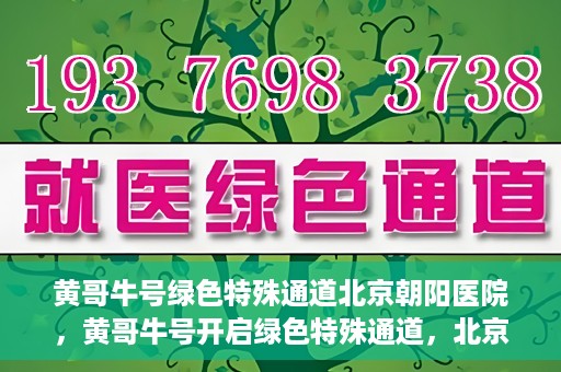 黄哥牛号绿色特殊通道北京朝阳医院，黄哥牛号开启绿色特殊通道，北京朝阳医院助力健康之路