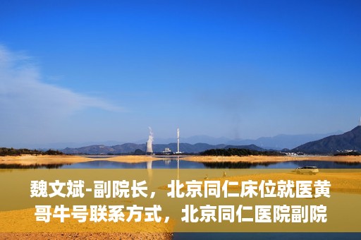 魏文斌-副院长，北京同仁床位就医黄哥牛号联系方式，北京同仁医院副院长魏文斌，床位就医问题与黄哥牛号联系方式解析