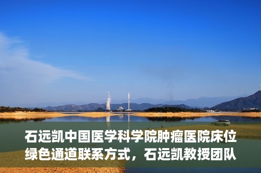 石远凯中国医学科学院肿瘤医院床位绿色通道联系方式，石远凯教授团队床位绿色通道联系方式及咨询指南——中国医学科学院肿瘤医院服务解析