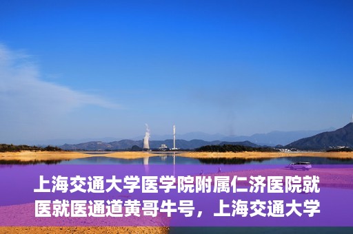 上海交通大学医学院附属仁济医院就医就医通道黄哥牛号，上海交通大学医学院附属仁济医院就医通道，黄哥牛号助您轻松就医体验之旅