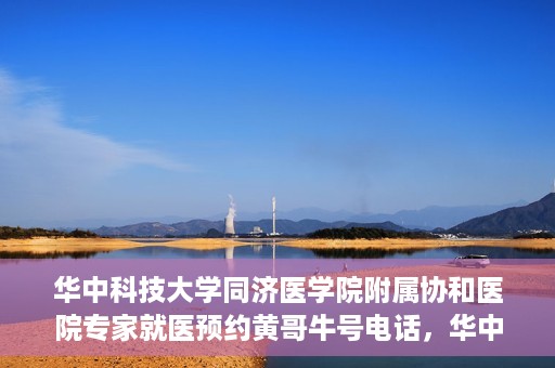 华中科技大学同济医学院附属协和医院专家就医预约黄哥牛号电话，华中科技大学同济医学院附属协和医院专家预约挂号攻略，黄哥牛号电话就医预约指南