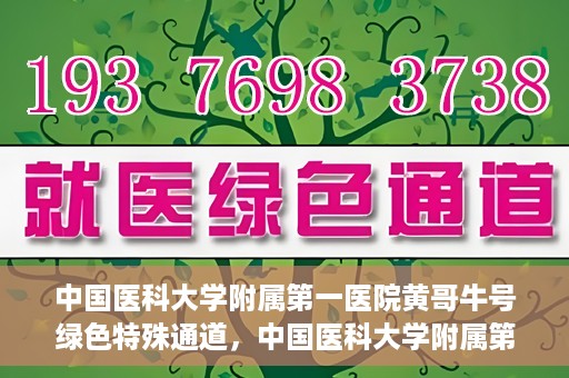 中国医科大学附属第一医院黄哥牛号绿色特殊通道，中国医科大学附属第一医院黄哥牛号，绿色特殊通道的开启与探索