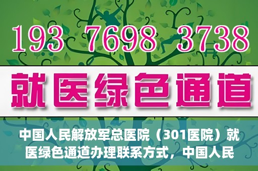 中国人民解放军总医院（301医院）就医绿色通道办理联系方式，中国人民解放军总医院就医绿色通道办理指南，快速联系与申请流程揭秘