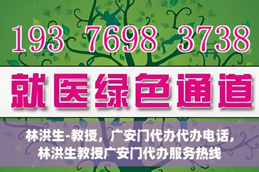 林洪生-教授，广安门代办代办电话，林洪生教授广安门代办服务热线