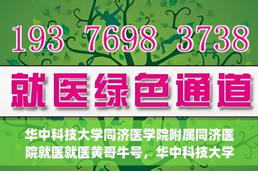 华中科技大学同济医学院附属同济医院就医就医黄哥牛号，华中科技大学同济医院就医体验分享，黄哥牛号就医之旅