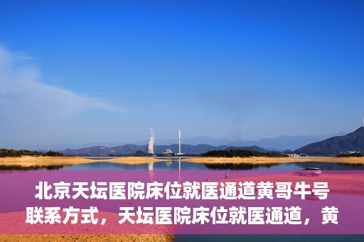 北京天坛医院床位就医通道黄哥牛号联系方式，天坛医院床位就医通道，黄哥牛号联系方式揭秘