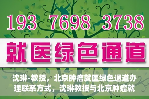 沈琳-教授，北京肿瘤就医绿色通道办理联系方式，沈琳教授与北京肿瘤就医绿色通道，一站式联系指南