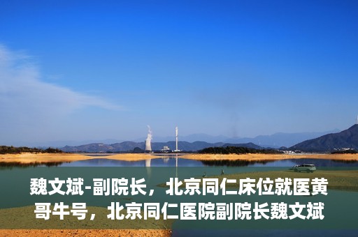 魏文斌-副院长，北京同仁床位就医黄哥牛号，北京同仁医院副院长魏文斌揭秘床位就医黄哥牛号背后的故事