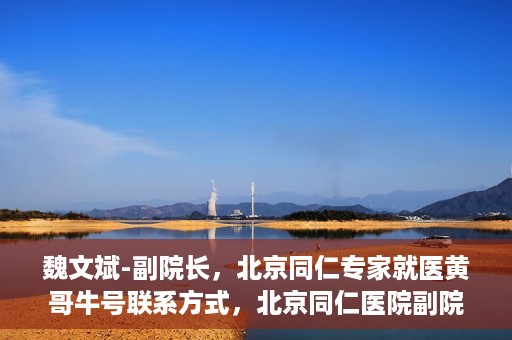 魏文斌-副院长，北京同仁专家就医黄哥牛号联系方式，北京同仁医院副院长魏文斌，黄哥牛号就医联系指南与专家联系方式揭秘
