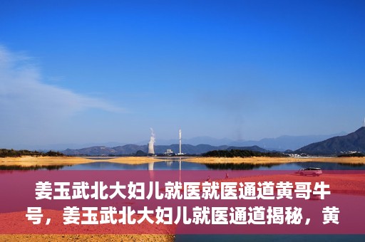 姜玉武北大妇儿就医就医通道黄哥牛号，姜玉武北大妇儿就医通道揭秘，黄哥牛号引领就医新体验