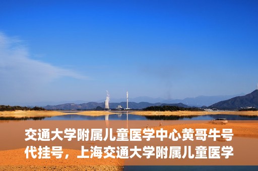 交通大学附属儿童医学中心黄哥牛号代挂号，上海交通大学附属儿童医学中心黄哥牛号代挂号解析与攻略