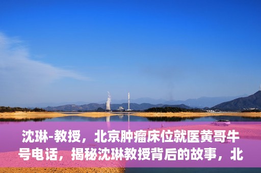 沈琳-教授，北京肿瘤床位就医黄哥牛号电话，揭秘沈琳教授背后的故事，北京肿瘤床位就医背后的黄哥牛号电话揭秘