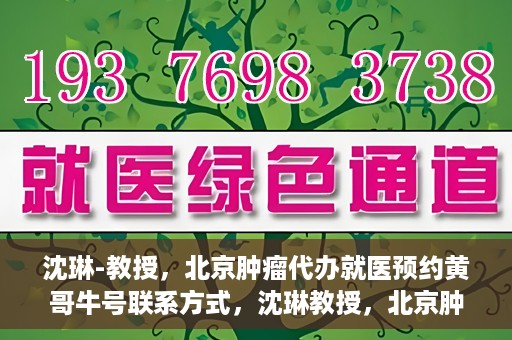 沈琳-教授，北京肿瘤代办就医预约黄哥牛号联系方式，沈琳教授，北京肿瘤就医预约联系方式及黄哥牛号就医指南