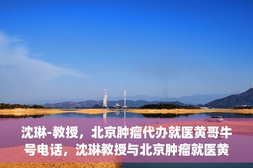 沈琳-教授，北京肿瘤代办就医黄哥牛号电话，沈琳教授与北京肿瘤就医黄哥热线，权威解读牛号电话背后的故事