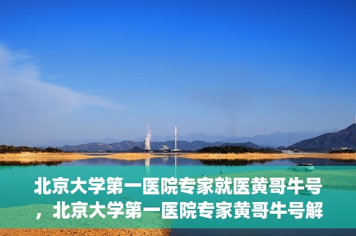 北京大学第一医院专家就医黄哥牛号，北京大学第一医院专家黄哥牛号解析就医秘籍