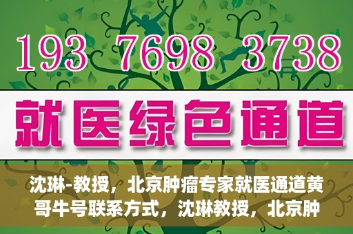 沈琳-教授，北京肿瘤专家就医通道黄哥牛号联系方式，沈琳教授，北京肿瘤专家就医通道揭秘，黄哥牛号联系方式一览无余