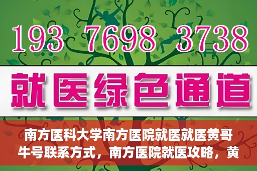 南方医科大学南方医院就医就医黄哥牛号联系方式，南方医院就医攻略，黄哥牛号联系方式揭秘