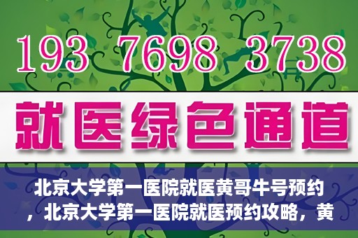 北京大学第一医院就医黄哥牛号预约，北京大学第一医院就医预约攻略，黄哥牛号预约详解