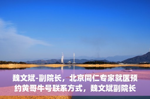 魏文斌-副院长，北京同仁专家就医预约黄哥牛号联系方式，魏文斌副院长北京同仁专家预约挂号联系方式，黄哥牛号就医指南