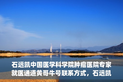 石远凯中国医学科学院肿瘤医院专家就医通道黄哥牛号联系方式，石远凯教授，中国医学科学院肿瘤医院专家就医指南与联系方式揭秘