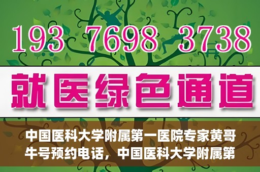 中国医科大学附属第一医院专家黄哥牛号预约电话，中国医科大学附属第一医院黄哥牛专家预约电话及挂号攻略