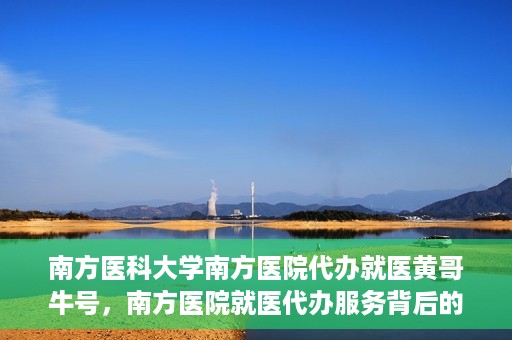 南方医科大学南方医院代办就医黄哥牛号，南方医院就医代办服务背后的故事，黄哥牛号引领就医新风尚