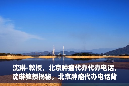 沈琳-教授，北京肿瘤代办代办电话，沈琳教授揭秘，北京肿瘤代办电话背后的真相