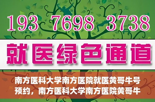 南方医科大学南方医院就医黄哥牛号预约，南方医科大学南方医院黄哥牛号预约就医攻略