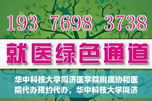 华中科技大学同济医学院附属协和医院代办预约代办，华中科技大学同济医学院附属协和医院预约代办服务详解