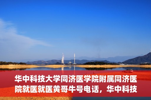 华中科技大学同济医学院附属同济医院就医就医黄哥牛号电话，华中科技大学同济医院就医指南，黄哥牛号电话一键预约就医服务