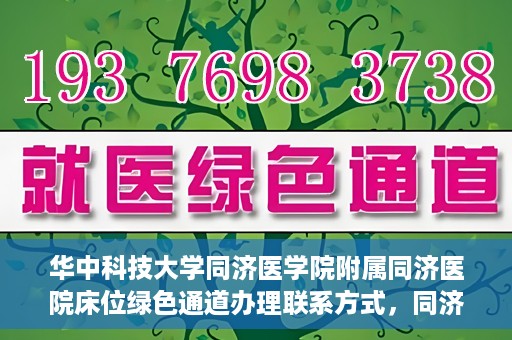 华中科技大学同济医学院附属同济医院床位绿色通道办理联系方式，同济医院床位绿色通道办理指南，联系信息及办理流程揭秘