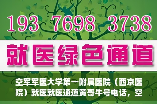 空军军医大学第一附属医院（西京医院）就医就医通道黄哥牛号电话，空军军医大学第一附属医院（西京医院）就医通道，黄哥牛号电话专线开通