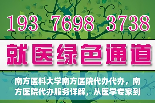 南方医科大学南方医院代办代办，南方医院代办服务详解，从医学专家到您的贴心助手