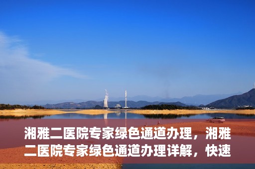 湘雅二医院专家绿色通道办理，湘雅二医院专家绿色通道办理详解，快速就医新途径揭秘