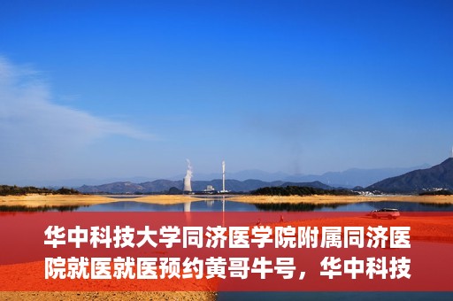 华中科技大学同济医学院附属同济医院就医就医预约黄哥牛号，华中科技大学同济医院就医预约攻略，黄哥牛号引领便捷就医新风尚