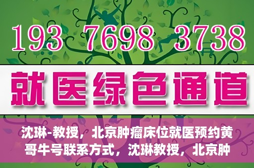 沈琳-教授，北京肿瘤床位就医预约黄哥牛号联系方式，沈琳教授，北京肿瘤床位预约热线及就医指南——黄哥牛号联系方式揭秘