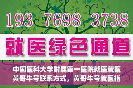 中国医科大学附属第一医院就医就医黄哥牛号联系方式，黄哥牛号就医指南，中国医科大学附属第一医院联系方式揭秘