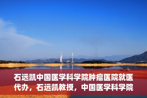 石远凯中国医学科学院肿瘤医院就医代办，石远凯教授，中国医学科学院肿瘤医院就医攻略与代办服务解析