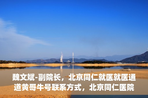 魏文斌-副院长，北京同仁就医就医通道黄哥牛号联系方式，北京同仁医院副院长魏文斌与就医通道，黄哥牛号联系方式揭秘