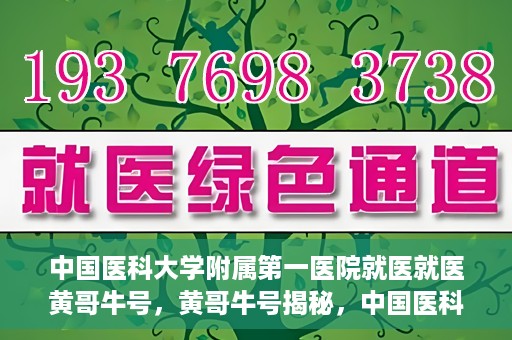 中国医科大学附属第一医院就医就医黄哥牛号，黄哥牛号揭秘，中国医科大学附属第一医院就医攻略与体验分享