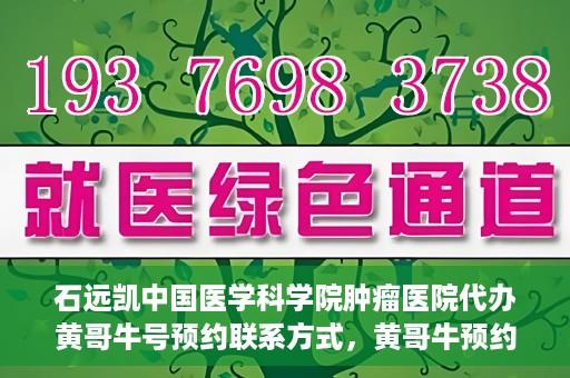 石远凯中国医学科学院肿瘤医院代办黄哥牛号预约联系方式，黄哥牛预约挂号联系方式，石远凯教授在中国医学科学院肿瘤医院的服务指南
