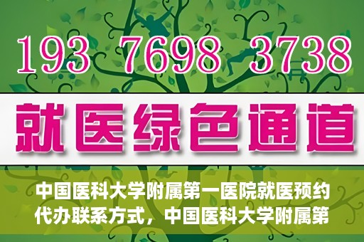 中国医科大学附属第一医院就医预约代办联系方式，中国医科大学附属第一医院就医预约联系方式及代办服务指南