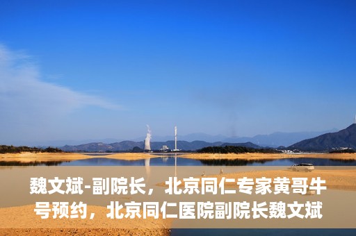 魏文斌-副院长，北京同仁专家黄哥牛号预约，北京同仁医院副院长魏文斌，黄哥牛号预约专家解析健康之道