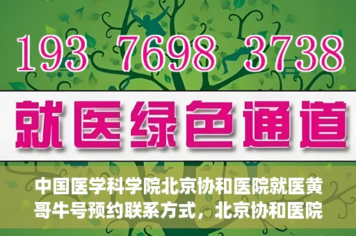 中国医学科学院北京协和医院就医黄哥牛号预约联系方式，北京协和医院黄哥牛号预约挂号联系方式揭秘，权威医学专家预约攻略
