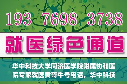 华中科技大学同济医学院附属协和医院专家就医黄哥牛号电话，华中科技大学同济医学院附属协和医院专家黄哥牛号电话就医指南