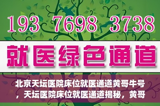 北京天坛医院床位就医通道黄哥牛号，天坛医院床位就医通道揭秘，黄哥牛号助您轻松就医