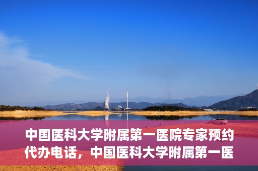 中国医科大学附属第一医院专家预约代办电话，中国医科大学附属第一医院专家预约挂号代办服务热线详解