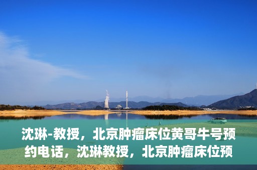 沈琳-教授，北京肿瘤床位黄哥牛号预约电话，沈琳教授，北京肿瘤床位预约热线及黄哥牛号攻略揭秘