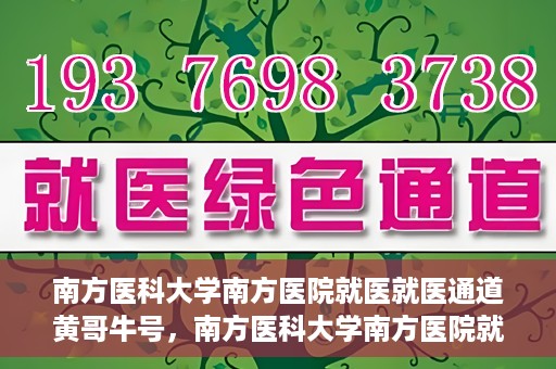 南方医科大学南方医院就医就医通道黄哥牛号，南方医科大学南方医院就医通道解析，黄哥牛号的就医之旅